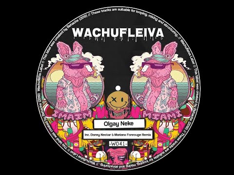 Olgay Neke   Brain Reset Mariano Fonrouge Remix VIDEO