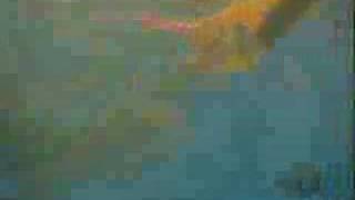 Green Day - Platypus (I Hate You) LIVE