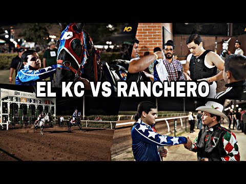 THIS IS HOW THE RACE WAS EXPERIENCED ON MY HORSE AGAINST THE NEVADA MULE |ELKC|