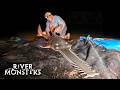 River Monsters Full Episode Season 3 Episode 4 Chainsaw Predator