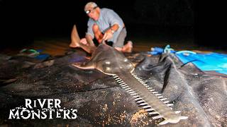 Download lagu River Monsters Full Episode - Season 3, Episode 4 - Chainsaw Predator mp3