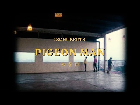 The Schuberts - Pigeon Man (Lyric Video)