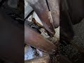 Don’t buy K&N oil filter