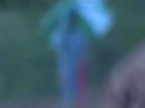 Ramlan Yahya - Ayeum Mata