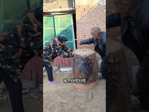 New Funny and Fail Videos 2026 😂 😺😍#funny #funnyshorts #hilarious