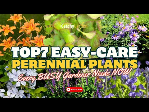 😱 STOP Struggling! 7 EASY-CARE Perennial PLANTS Every BUSY Gardener Needs NOW! 🌿