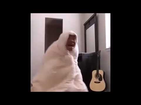 quensadilla screaming 'what are you doing' while wrapped in a blanket vine