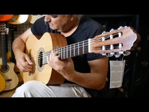 Three Antonio Pinto Guitars - One Piece - Thomas Lorenzo