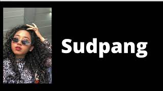 Cover art for Sudpang!
