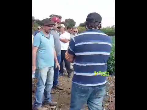 Jornada RECSO-INTA 📍 Col. Vicente Aguero ►Cristian Vissani, coordinador Ensayos Cultivares de Soja