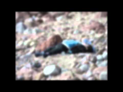 Século News - 01/02/16 - Migrantes morrem em naufrágio