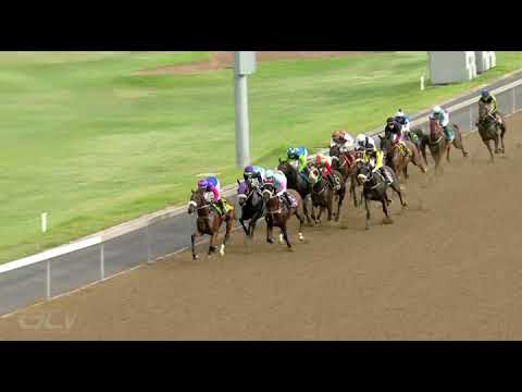 20211213 Hollywoodbets Greyville express clip Race 8 won by EVENING PRIMROSE