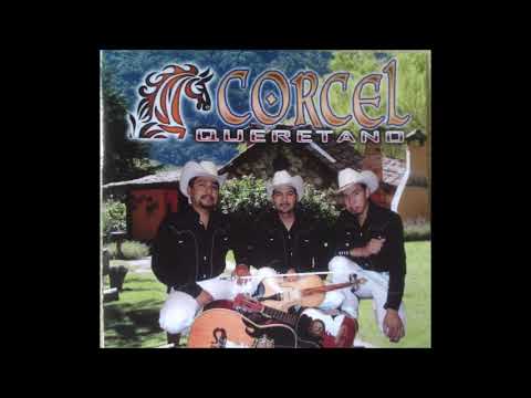 Corcel Queretano - El Recadito