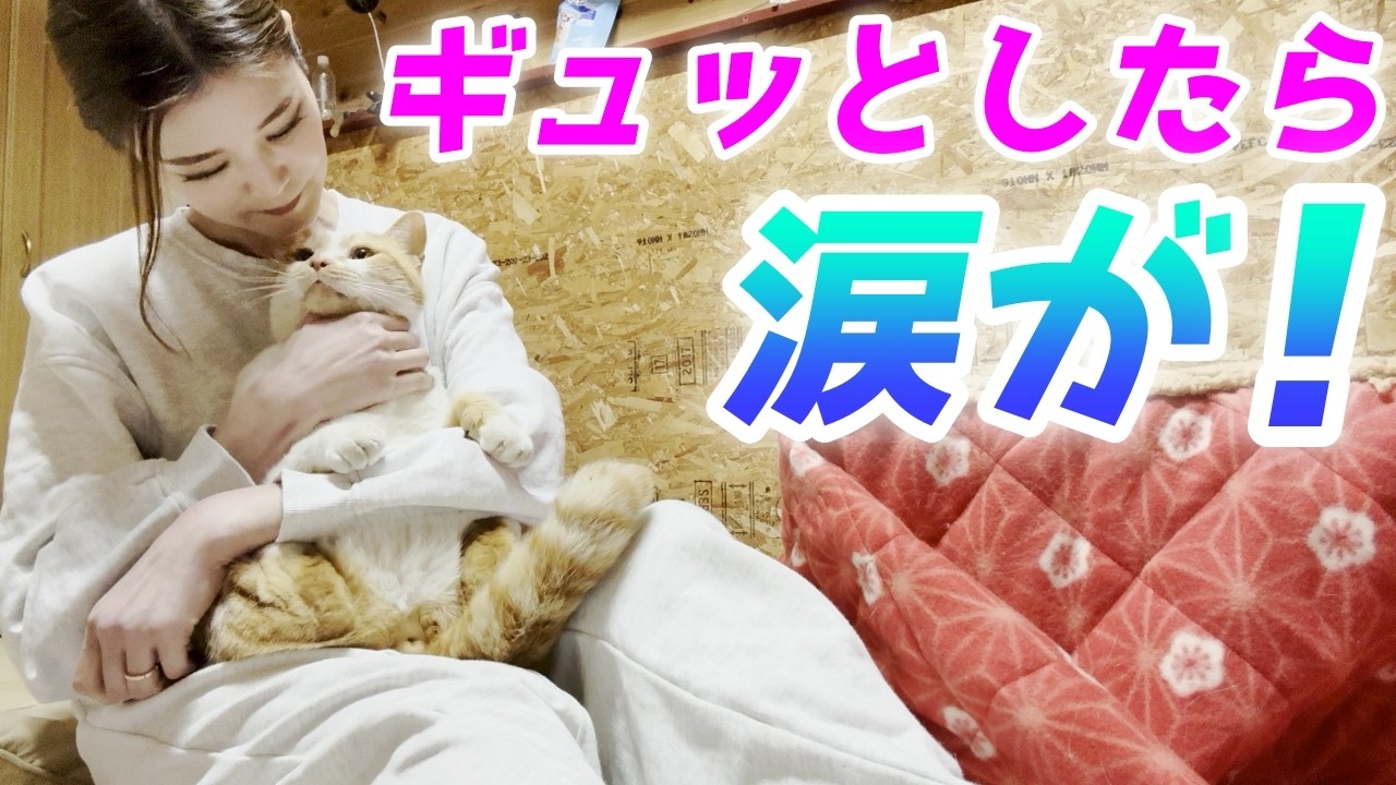 夜ひとりでお留守番してた庭子猫に『ギュッ』としたら…可愛すぎて泣いた！【三毛母猫の子猫】