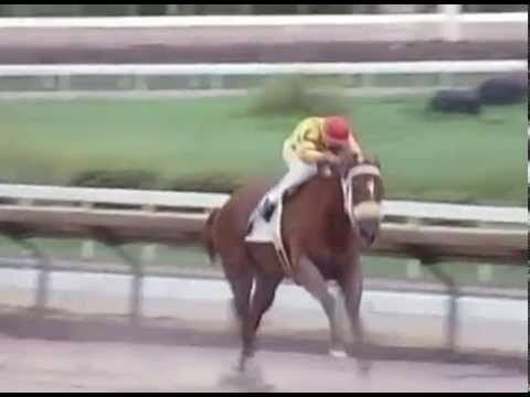 Copa Velocidad 2003 - Andiroba (PUR)