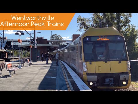 NSW Trains Vlog 21: Wentworthville Afternoon Peak Trains