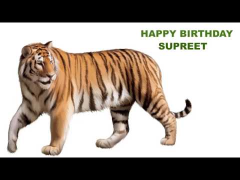Supreet  Animals & Animales - Happy Birthday