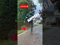 Hayyoda Jawan Sharukh Khan Atlee Shortsfeed Hayyoda Jawan Shorts Chaleya Dance Anirudh