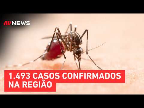 Rio Grande do Sul confirma segunda morte por dengue em 2026