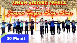 Download lagu 30 MENIT SENAM AEROBIC PEMULA | MUSIK VIRAL | JANGAN TUNGGU LAMA LAMA | Irna Chendani mp3