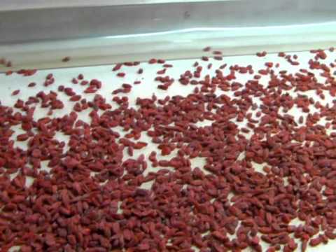 Diyabetis gamot para sa pagbaba ng timbang Massage belt slimming tiyan kung saan upang bumili ng