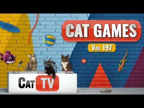CAT Games | Ultimate Cat TV Compilation Vol 197 | 8 HOURS  🐝🐞🦋🦎🦜🐜🐭🧵