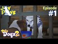 So I Accidentally Freed An Evil Wizard Petz Dogz 2 1