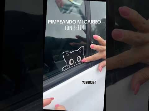 Pimpeando mi carro con SHEIN