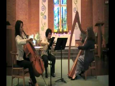 Promotional video thumbnail 2 for Lara Garner, Harpist/Pianist/String Ensemble