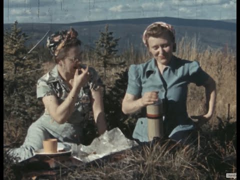 Fall in Interior Alaska, circa 1940