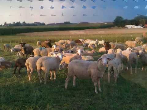 GB 237 Welch ein Freund ist unser Jesus