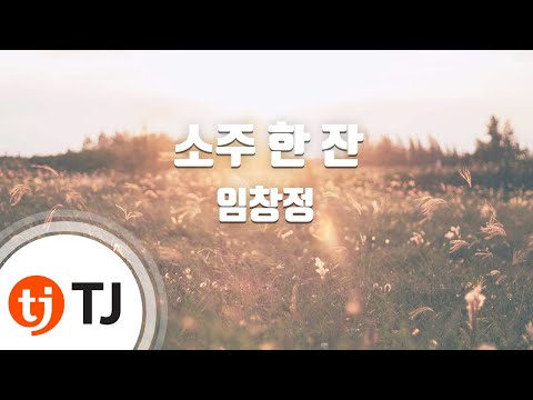 A Shot Of Soju 소주한잔_Lim ChangJung 임창정_TJ노래방 (Karaoke/lyrics/romanization/KOREAN)