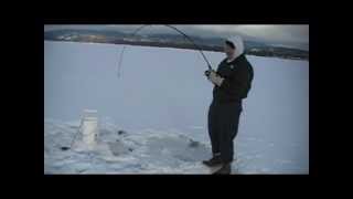 preview picture of video 'Laker Fishing McCall Idaho Feb 11, 2012'