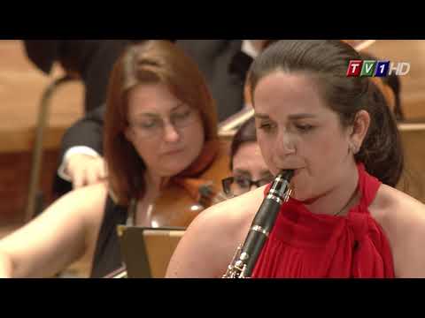 Mangani-Concert piece for two clarinets-Borislav Yotzov,Tsvetelina Naydenova,New Symphony Orchestra