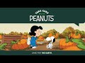 Take Care With Peanuts Happy Harvesting