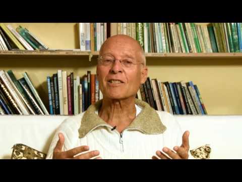 Krankheitsbilder aus ganzheitlicher Sicht - Magen-Darm