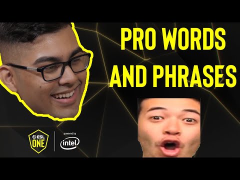 What silly words and phrases do the PROS use?