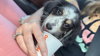 A little daily vlog till I come back fully!! 