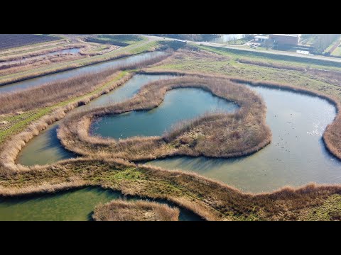 DJI Mavic Mini | Aerial cinematic footage of South-Beijerland and the Maas river.