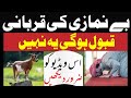Be Namazi Ki Qurbani Qubool Hogi Ya Nahin Be Namazi Ki Qurbani