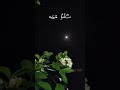 Oru Mani Adithal Kalamellam Kadhal Valga Tamil WhatsApp Status
