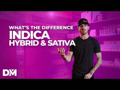 What Is The Difference Between Indica, Sativa, Hybrid - DistroMike