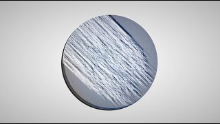 Mord Fustang - Cinder