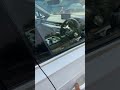 2019 Audi Q7 Technology