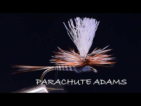 Parachute Adams by Charlie Craven
