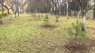 День рождения Бронницкого лицея