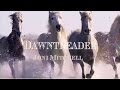 Dawntreader - Joni Mitchell (DJ Poet)