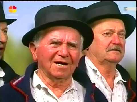 MVS BEĆARINE - NE STIDIM SE RODA SVOGA