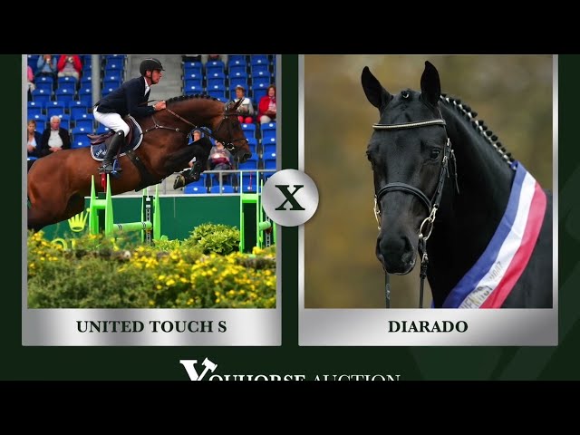 After Eight showvideo