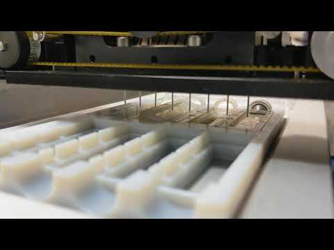 Capillary-based microfluidic device for accelerated screening